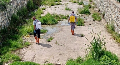Kırklareli Belediyesi'nden Yaz Aylarında Haşere Seferberliği