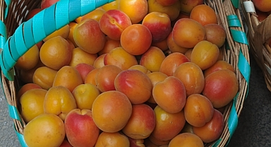 Kırklareli Karahıdır'da Meyve Üretimi Tehlikede: Üretici Maliyetlerden Şikayetçi