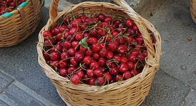 Kırklareli'nde Karahıdır Kirazı Sezonu Başladı