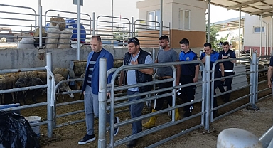 Kırklareli’nde Kurban Kesimi Güvenli Ellerde!