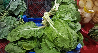 Kırklareli Pazarı'nda Laz Pazısı Rüzgarı!