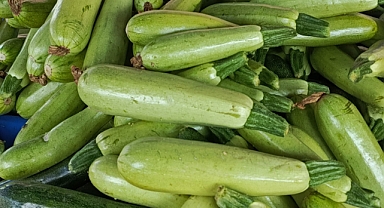 Kırklareli Pazarlarında Kabak Rüzgârı: Fiyatı 30-50 TL Arasında Değişiyor