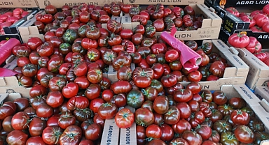 Kırklareli Pazarlarında Yeni Tat: Çiko Domatesin Faydaları ve Kullanım Önerileri