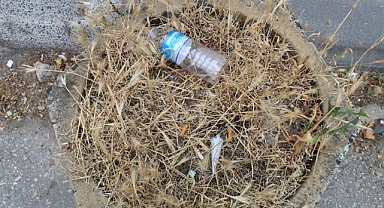 Kırklareli Sokaklarında Çöp Sorunu Büyüyor