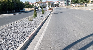 Kırklareli TOKİ Çevresi Güzelleşiyor: Fen İşleri Ekiplerinden Yoğun Mesai