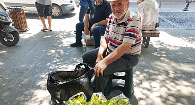 Kırklareli Vize'de Yazın Habercisi: Erol Ergün'ün Bahçesinden Ihlamur Kokuları