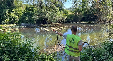Kıyıköy'de Halk Sağlığı Öncelik; Belediyeden İlaçlama Seferberliği