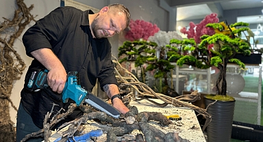 Kurumuş ağaç köklerini geri dönüşüme kazandırıp, dekorasyon malzemeleri yapıyor