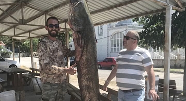 Meriç Nehri'nde 80 kilo ağırlığında yayın balığı yakaladı