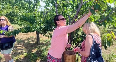 Perihan Savaş, Şarköy'de kiraz hasadına katıldı