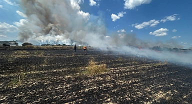 Saros’ta çıkan tarla ve orman yangınıyla ilgili savcılığa suç duyurusu