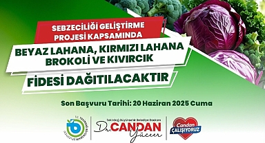 SEBZE FİDESİ DAĞITIMI İÇİN SON BAŞVURU TARİHİ 20 HAZİRAN