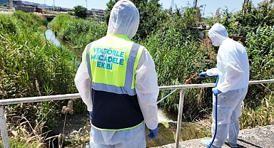 Sineklere Karşı Tek Tek Tüm Mahalleler İlaçlanıyor
