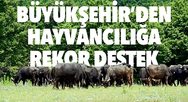 TEKİRDAĞ BÜYÜKŞEHİR BELEDİYESİ'NDEN HAYVANCILIĞA REKOR DESTEK