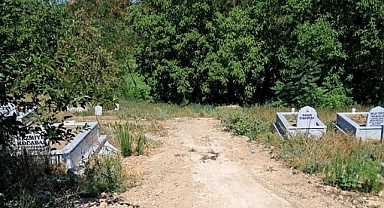 Tekirdağ’da 2024 Yılında Ölüm Sayısı Arttı: Nedeni Dolaşım Sistemi Hastalıkları