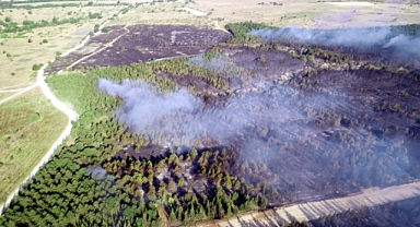 Tekirdağ'da ormanlara girişler yasaklandı