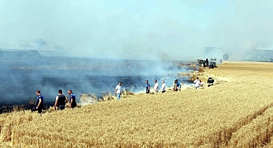 Tekirdağ'da yangında 400 dönüm buğday ekili tarla zarar gördü