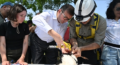 Trakya'nın Kuşları Halkalanıyor