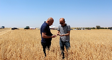 Vize'de Yerli Yulaf Çeşitlerinin Hasadı Gerçekleştirildi