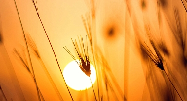 5 Temmuz’da Trakya’da Kavurucu Sıcaklıklar Geliyor