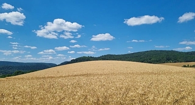 6 Temmuz 2025 Trakya Güneşli ve Sıcak Bir Pazar