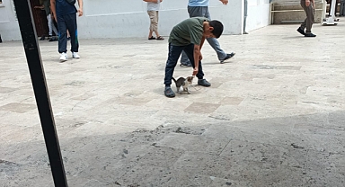 Çocukların Hayvan Sevgisi Sokaklarda Büyüyor