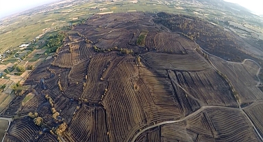 Edirne’deki orman yangınında zarar gören alanlar havadan görüntülendi
