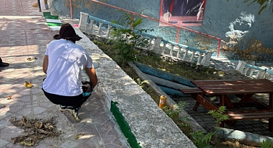 Kaldırımlar Yenileniyor, Kaynarca Güzelleşiyor