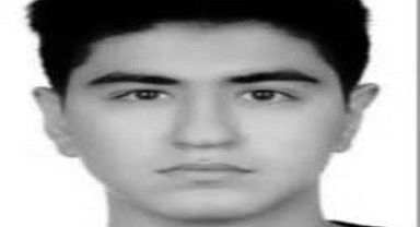 Kamyona çarpan otomobilin sürücüsü üniversiteli Hamdi Serdar toprağa verildi