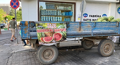 Kavakdere Karpuzu Sıcakta Serinletiyor
