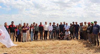 Kırklareli Damızlık Sığır Yetiştiricileri Birliği, Buğday ve Yulaf Çeşitleri Tanıtımında