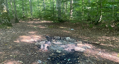 Kırklareli'de Ormanlarda Ateş Yakanlar Tepki Çekiyor