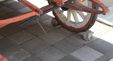 Kırklareli'nde Sıcaklık Artıyor, Fareler Ortaya Çıkıyor