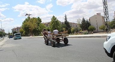 Kırklareli Merkez'de At Arabası Sorunu Devam Ediyor