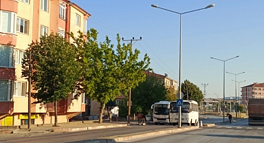 Kırklareli Merkezde Toplanan Atlara Rağmen TOKİ Bölgesinde Sorun Sürüyor