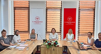 Kırklareli'nde Normal Doğum Eylem Planı Toplantısı Gerçekleştirildi