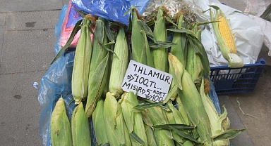 Kırklareli’nde Sağlık ve Lezzet Tezgahlarda