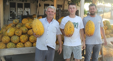 Kırklareli'nde Yerli Kavun Hasadı Başladı: Tezgahlar Mis Gibi Kokuyor