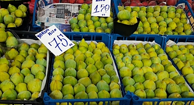 Kırklareli Pazarlarında İncir Sezonu Başladı