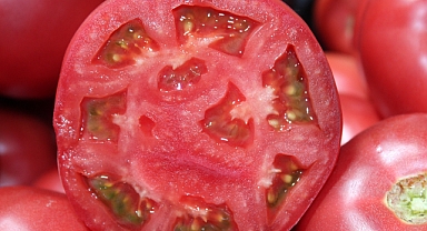 Kırklareli Pazarlarında Yazın Gözdesi: Sulu Sulu Pembe Domates Tezgahlarda