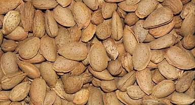 Kırklareli Pazarlarında Yerli Badem Rüzgarı