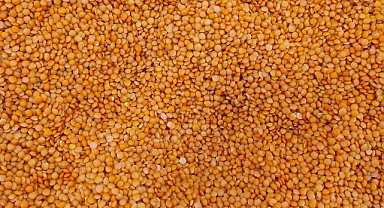 Kırmızı Mercimek: Sağlık ve Çevre İçin Mucizevi Bir Bakliyat