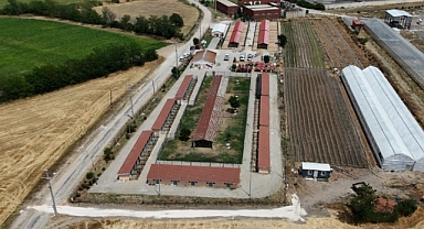 Lüleburgaz Belediyesi’nden Can Dostlara Konforlu Yaşam Alanı