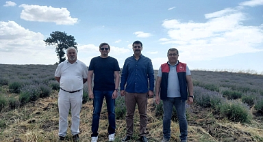 Pehlivanköy'de Lavanta Tarlalarına Ziyaret