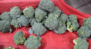 Sağlıklı Beslenmenin Yolu Kırklareli Kapalı Pazarından Geçiyor: Brokolinin Faydaları