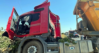 Tekirdag'da ağaca çarpan kamyonda 2 kişi yaralandı