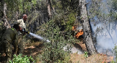 Tekirdağ'daki orman yangını kontrol altına alındı