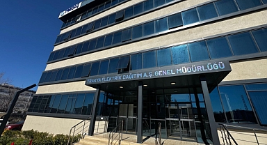 Tekirdağ ve Çanakkale'de Orman Yangını: TREDAŞ'tan Önemli Açıklama