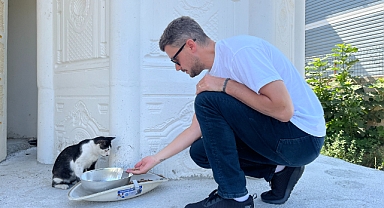 TREDAŞ’ın armatürleri, sokak hayvanları için hayatı aydınlatıyor