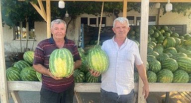 Üsküpdere’de Yerli Karpuz Tezgâhlarda Yerini Aldı